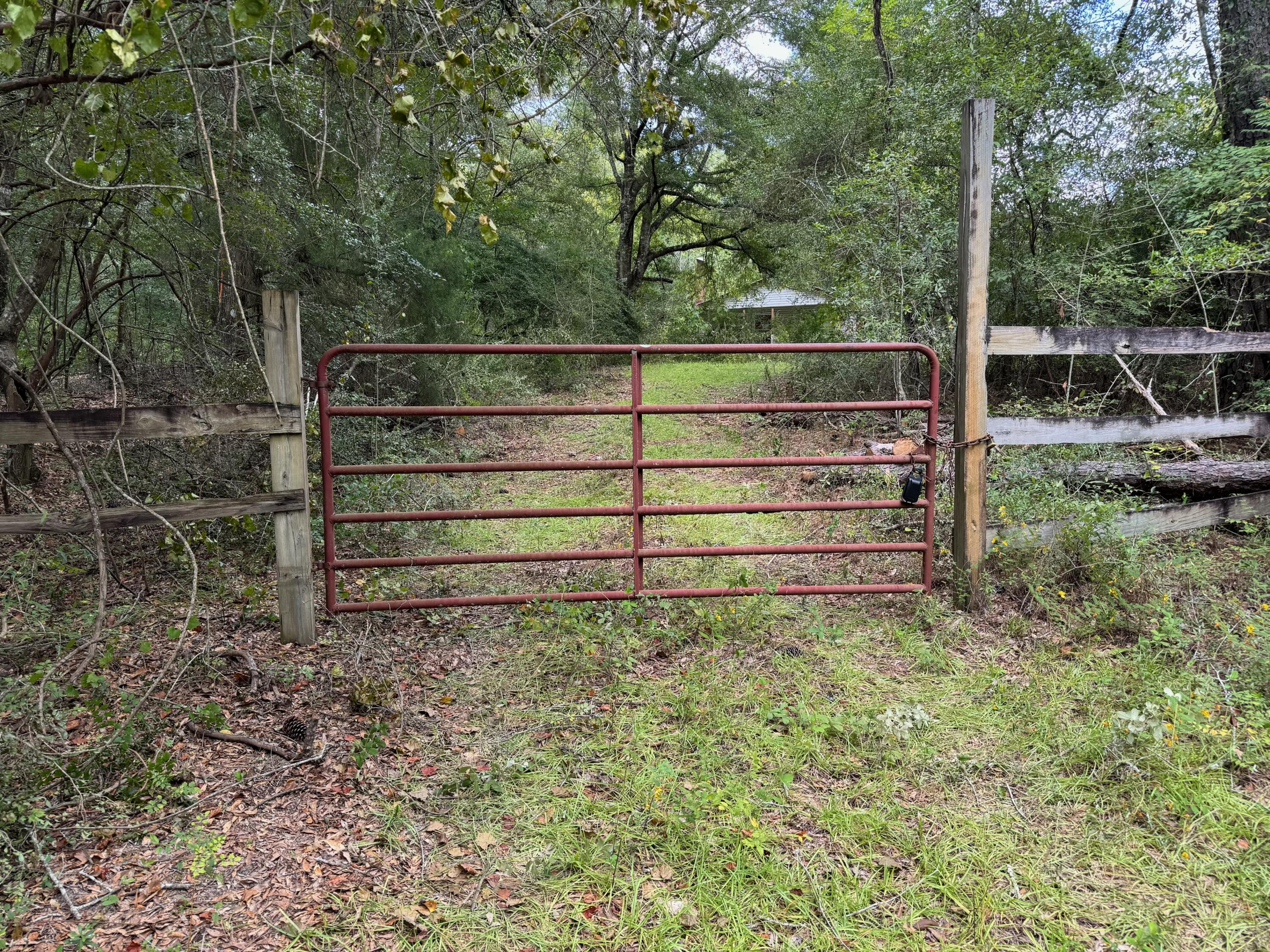 3956 Cook Road Westville, FL 32464 - Photo 1 of 15 a view of backyard with trees