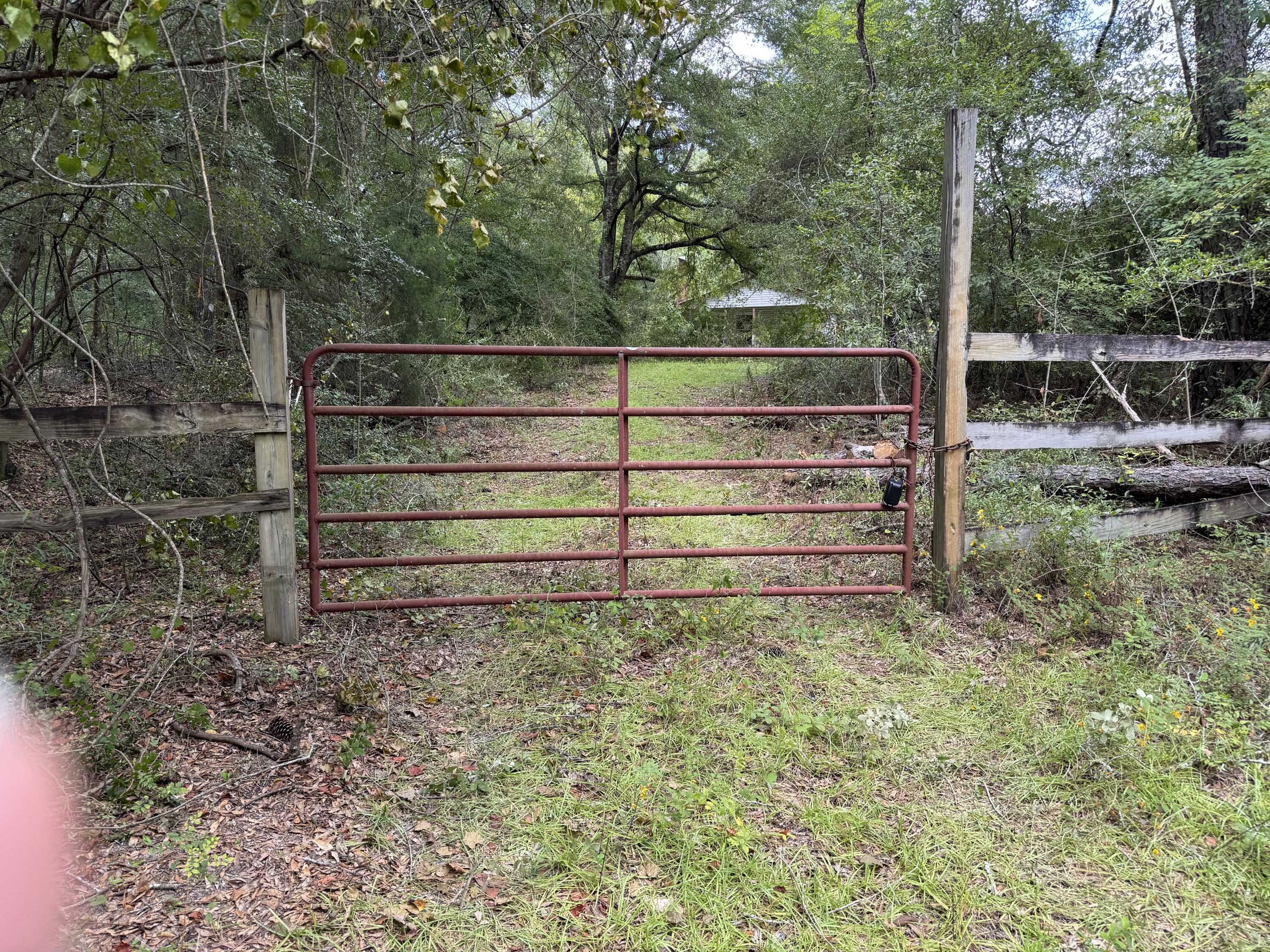 3956 Cook Road Westville, FL 32464 - Photo 14 of 15 a view of backyard with trees