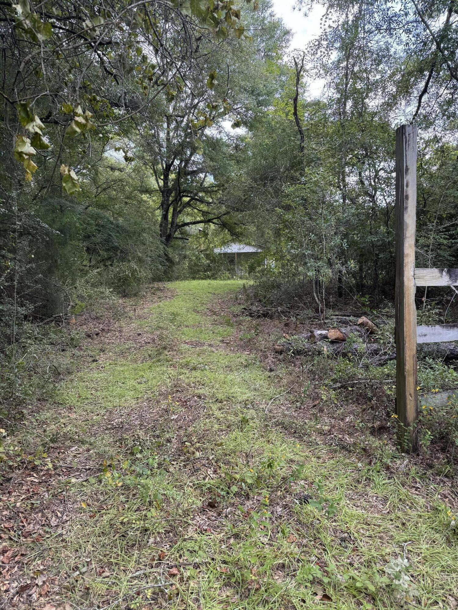 3956 Cook Road Westville, FL 32464 - Photo 15 of 15 a view of outdoor space and yard