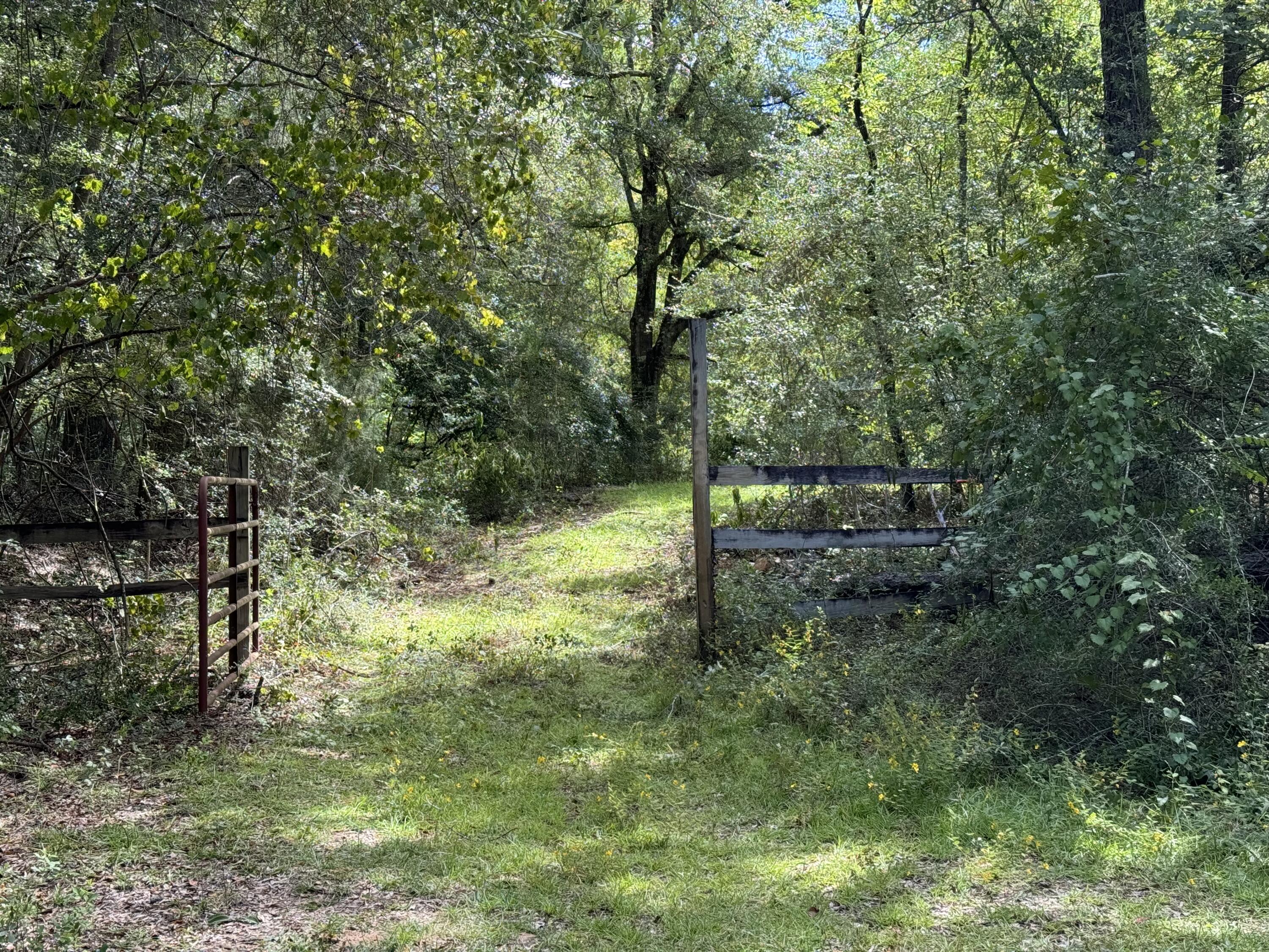 3956 Cook Road Westville, FL 32464 - Photo 6 of 15 a view of outdoor space and yard