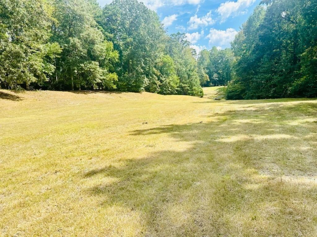 330 Lakeshore Road Milton, GA 30004 - Photo 3 of 21