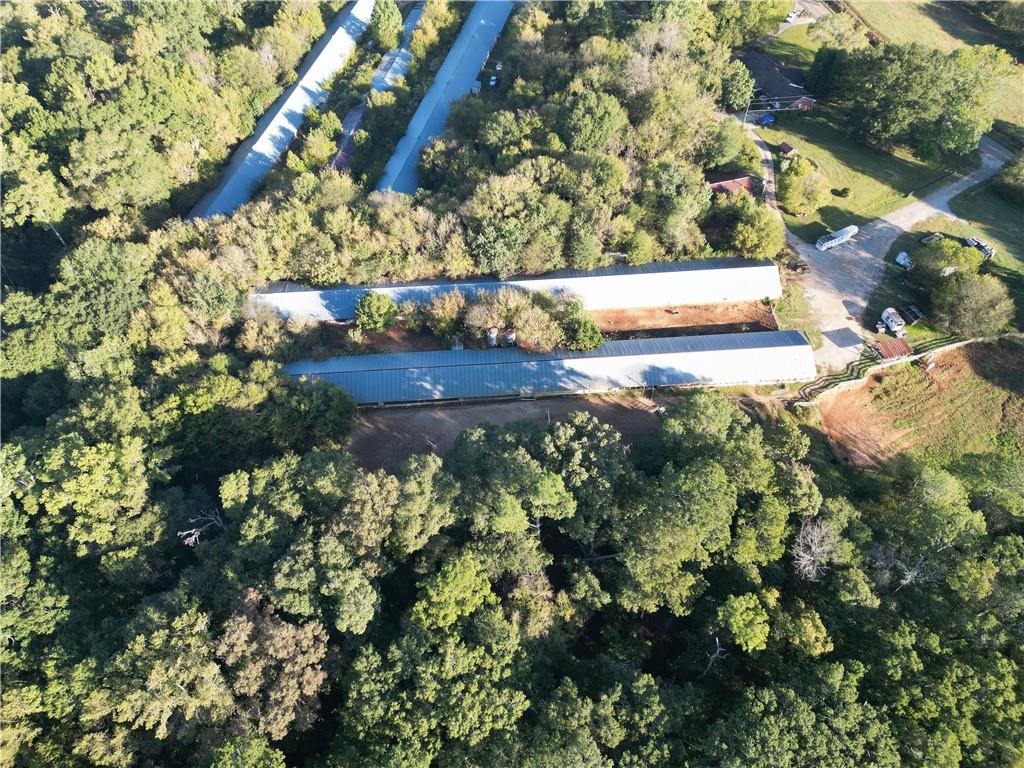 4592 Waters Road Woodstock, GA 30188 - Photo 19 of 22 a view of a yard with plants
