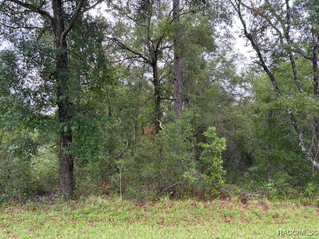 359 North Fitzpatrick Avenue Inverness, FL 34453 - Photo 3 of 7