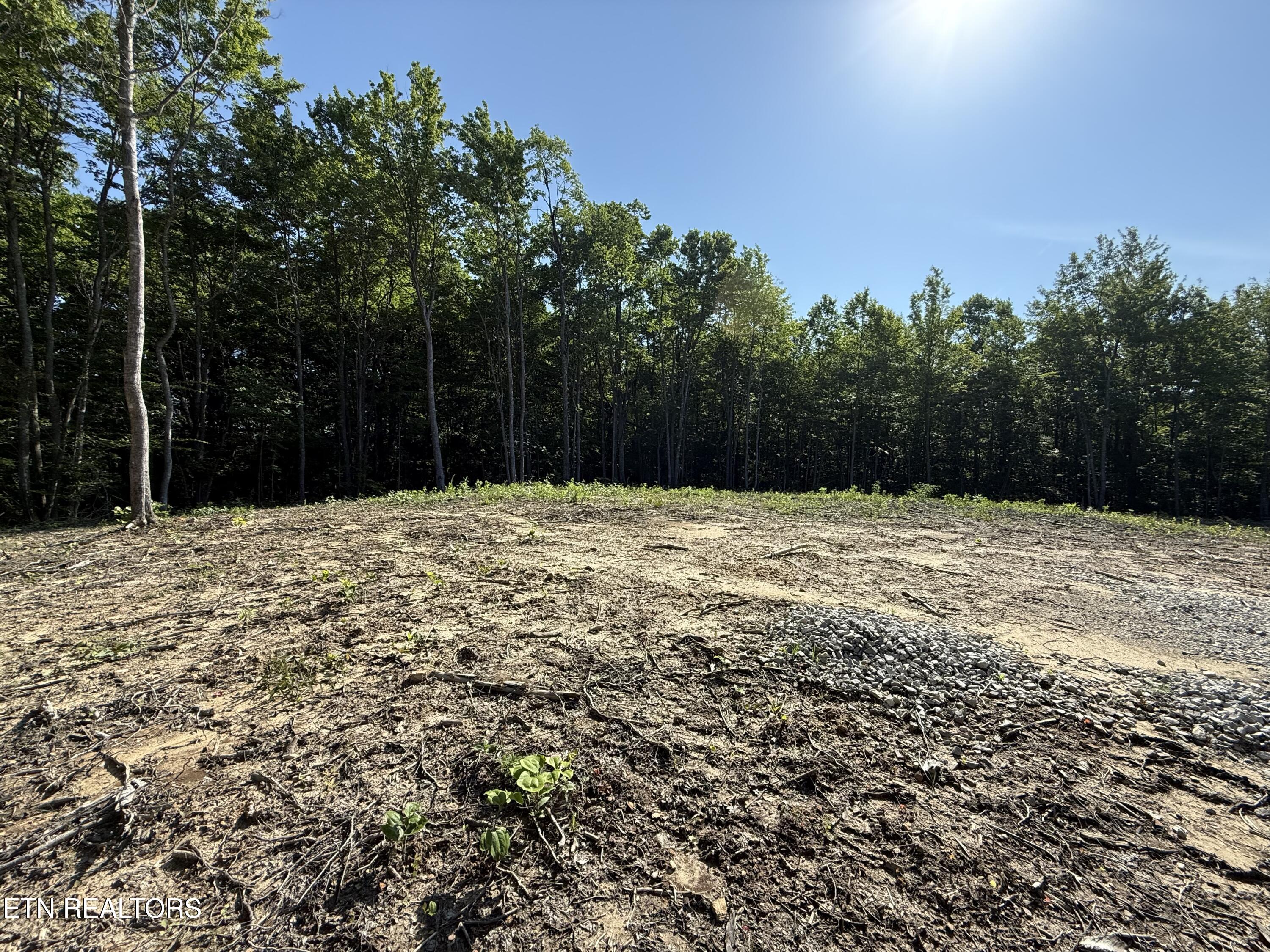 969 Lewallen Road Sunbright, TN 37872 - Photo 1 of 21 IMG_4299
