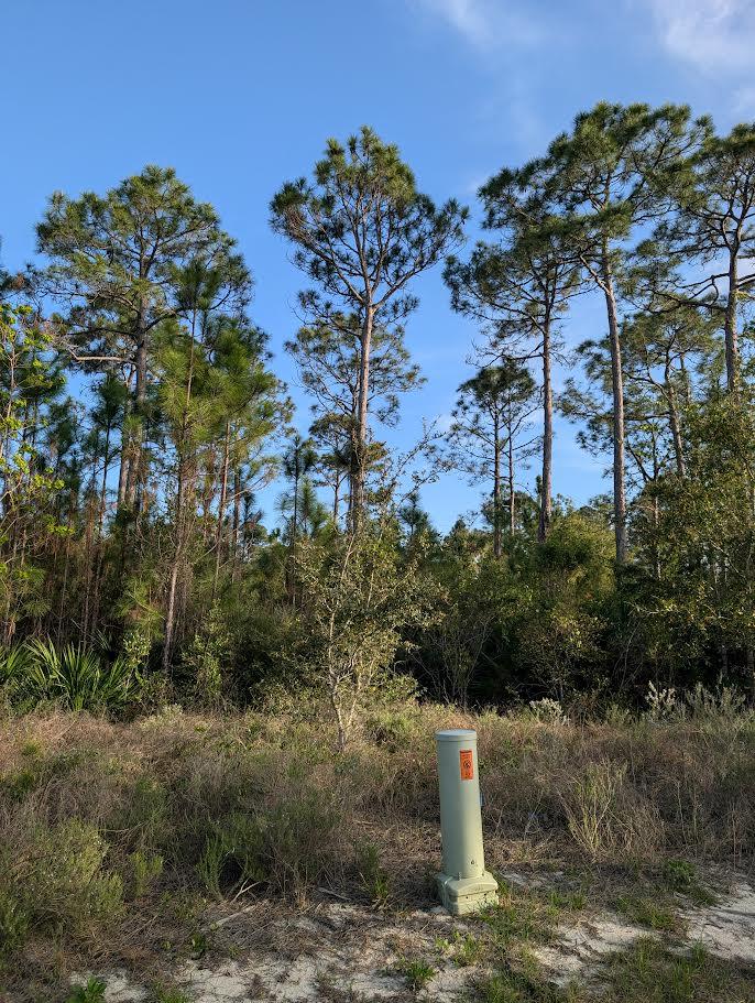 200 Ante Beppum Loop Carrabelle, FL 32322 - Photo 4 of 7