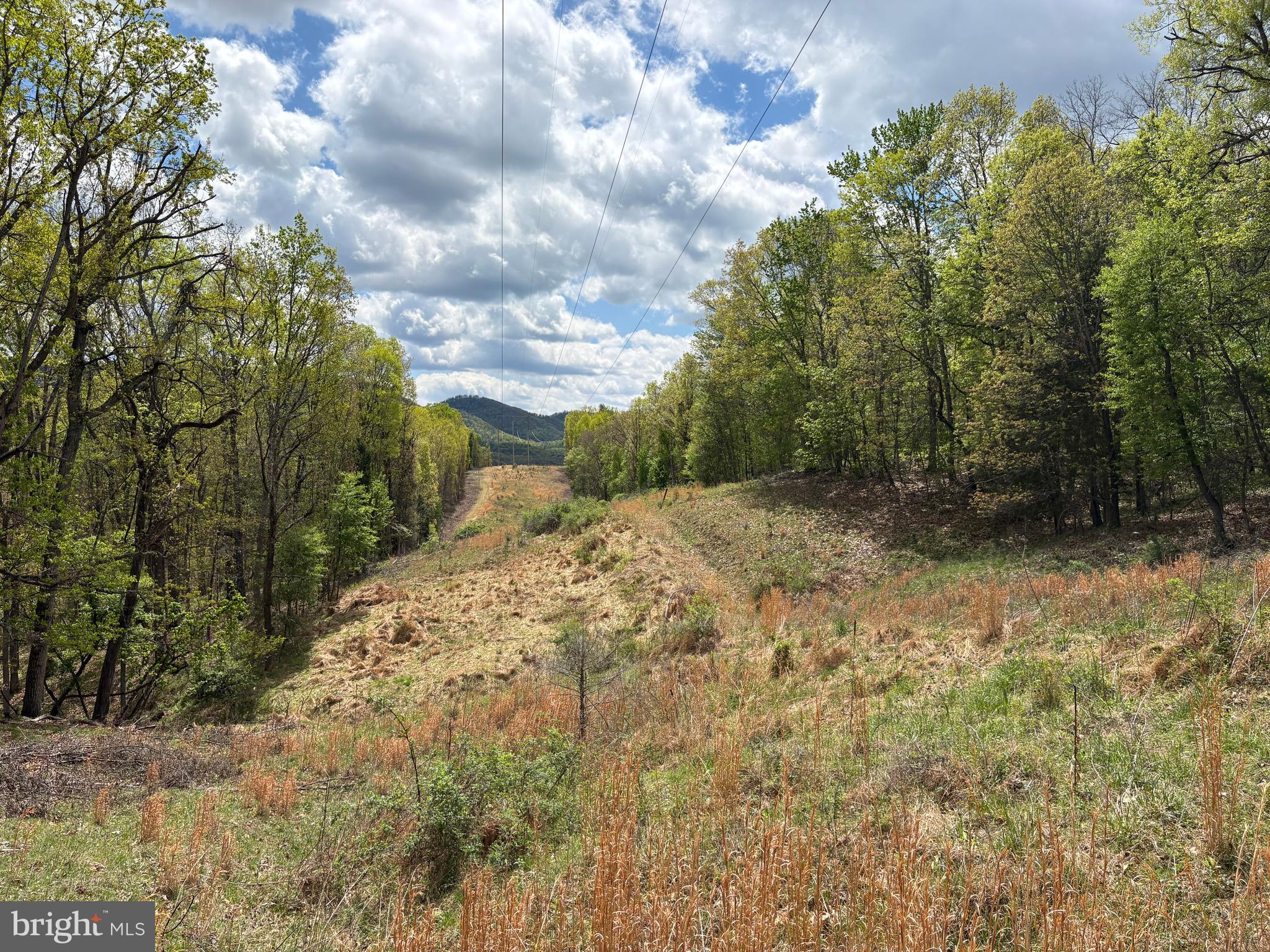 5-ac Beam Road Romney, WV 26757 - Photo 6 of 20 Gallery Image 6