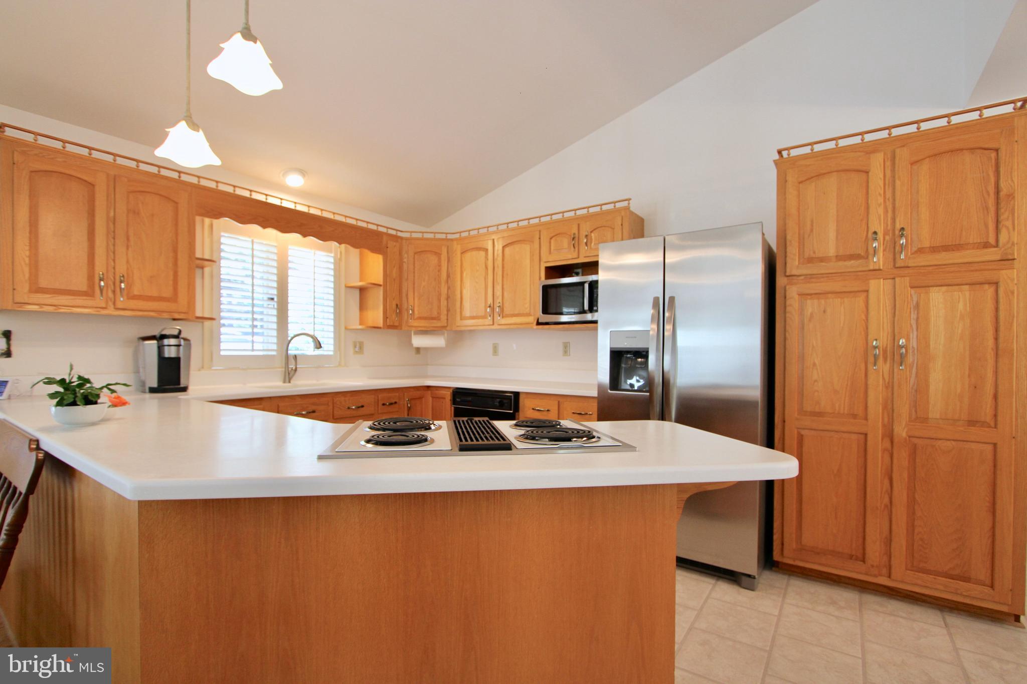 202 Gettysburg Road Dover, DE 19904 - Photo 9 of 34 Kitchen with Stainless Steel Appliances