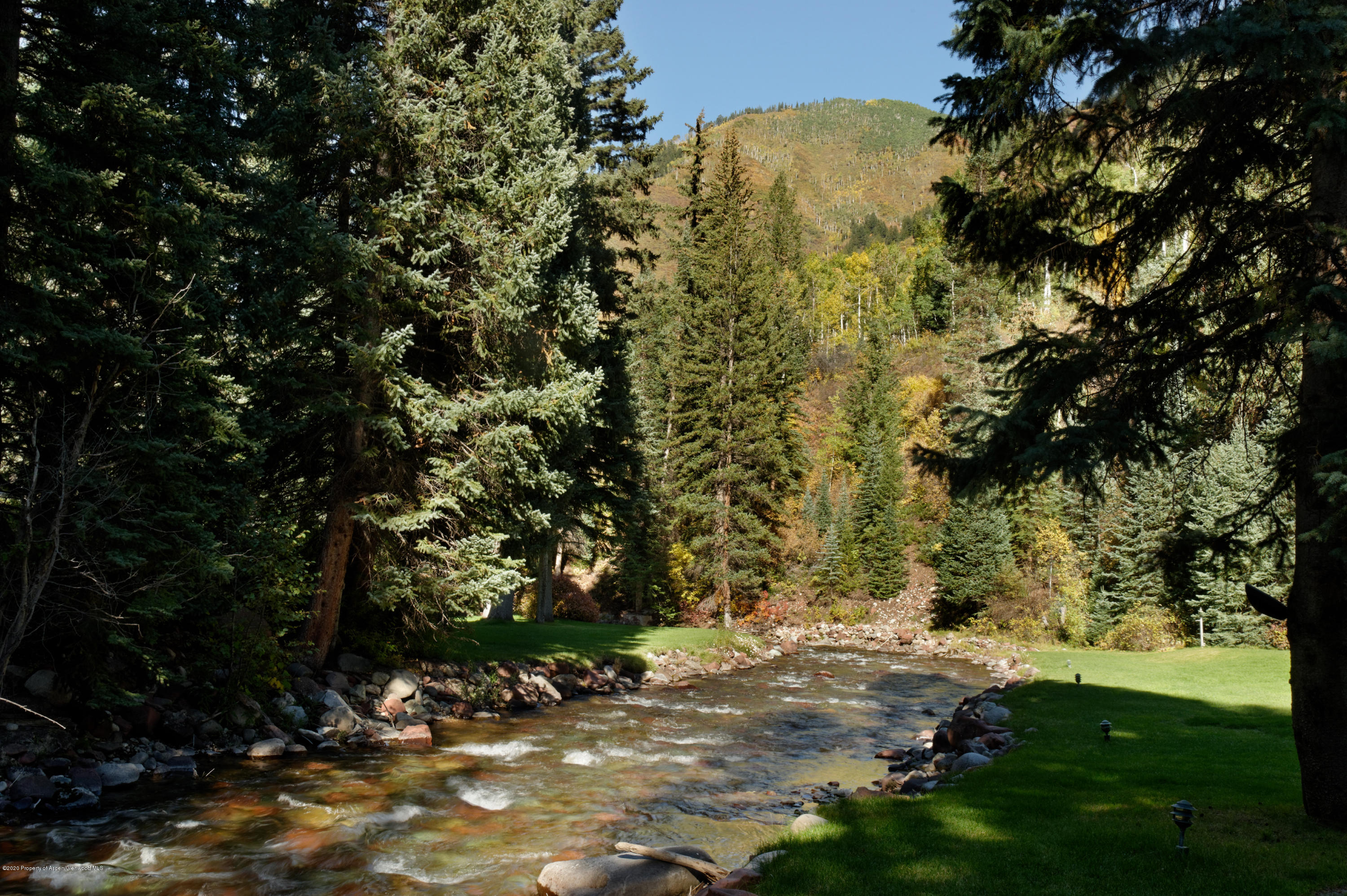 201 Midnight Mine Road Aspen, CO 81611 - Photo 6 of 40 a view of a yard with a tree