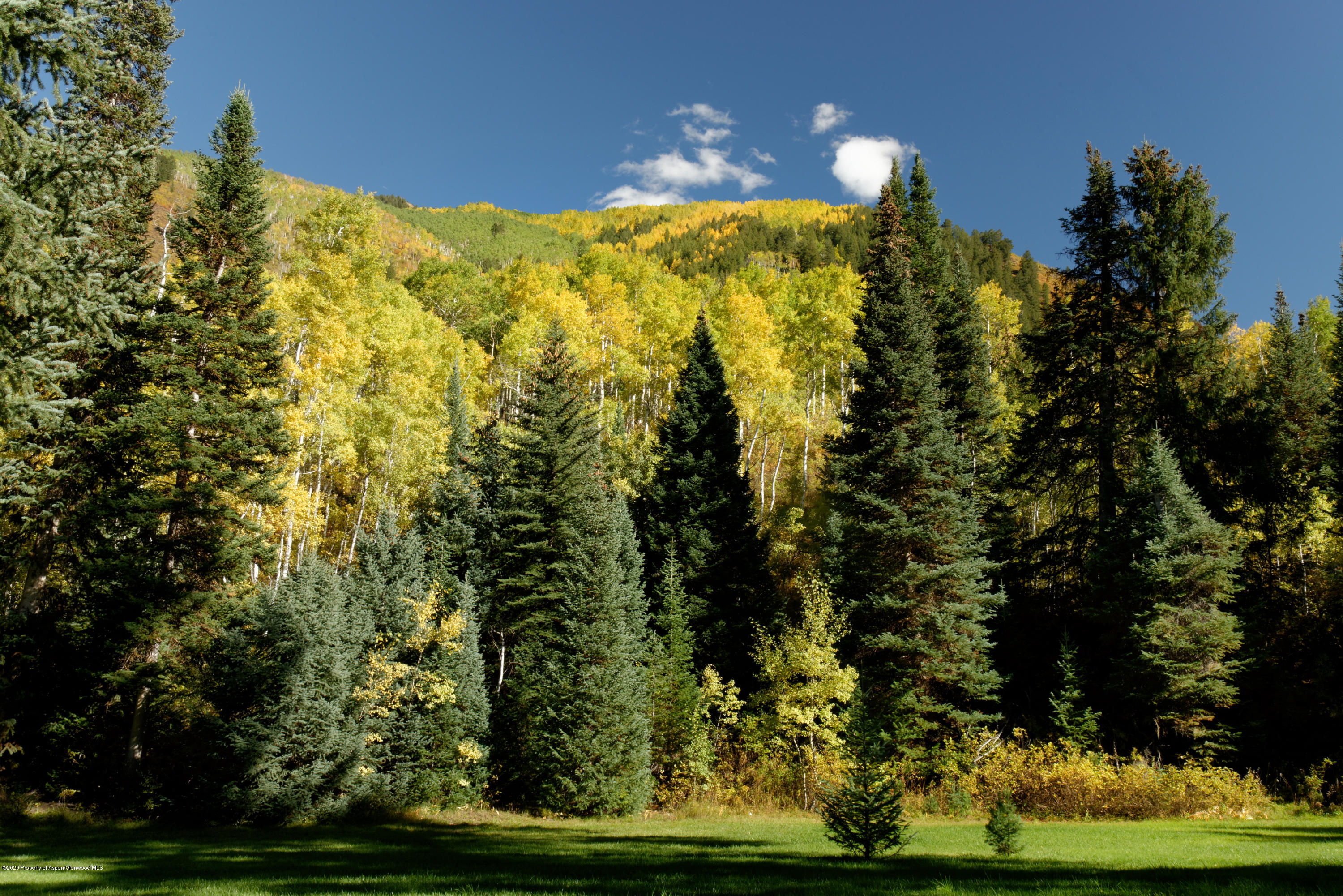 201 Midnight Mine Road Aspen, CO 81611 - Photo 7 of 40 a view of a yard