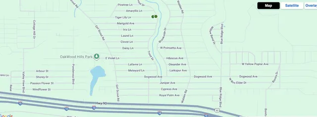 $65,000 | Lot 40-41 East Tiger Lily Lane, DeFuniak Springs, FL 32433