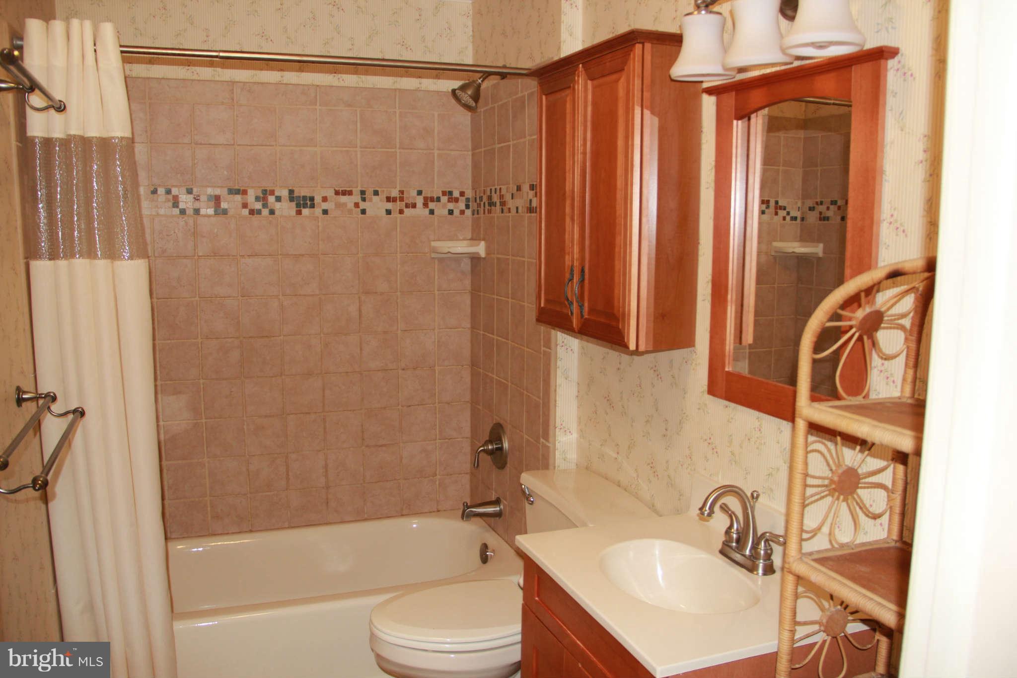 6502 Sharon Road Baltimore, MD 21239 - Photo 13 of 14 a bathroom with a shower curtain a sink and a shower curtain