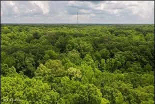 $2,300,000 | 16844 Highway 12, Lexington, MS 39095