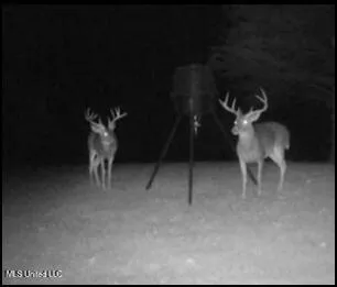 $2,300,000 | 16844 Highway 12, Lexington, MS 39095