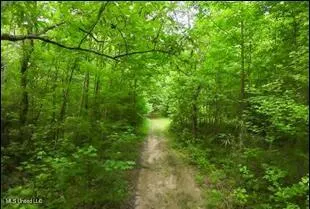 $2,424,500 | 16844 Highway 12, Lexington, MS 39095