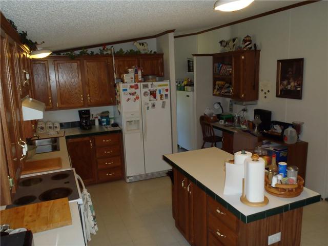 391 Sims Spring Road Shelbyville, TN 37160 - Photo 7 of 18 Roomy kitchen with island and huge pantry