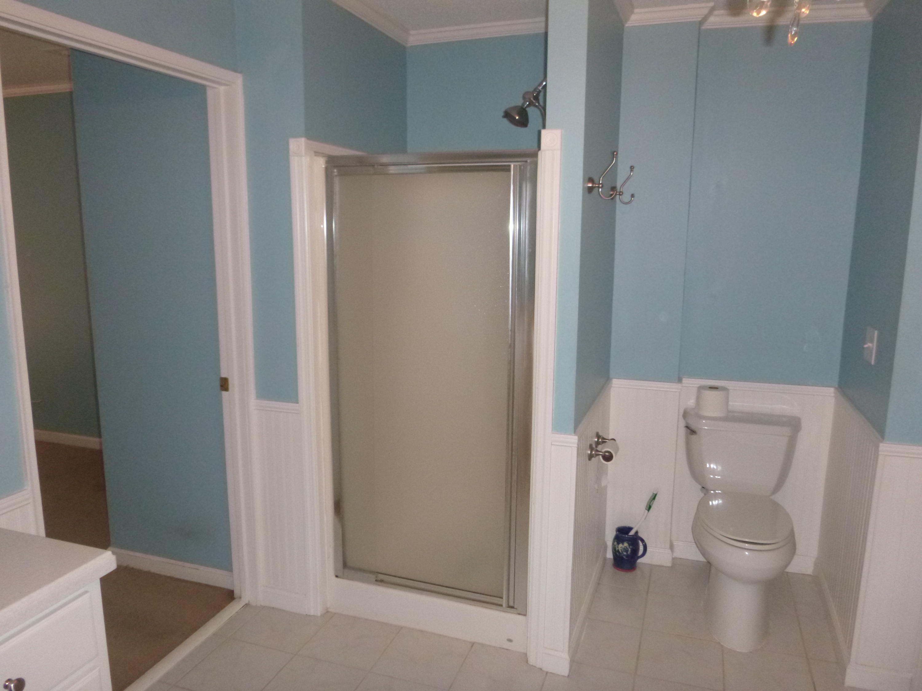 1297 Fort Lamar Road Charleston, SC 29412 - Photo 14 of 22 ftlamarMBAshower