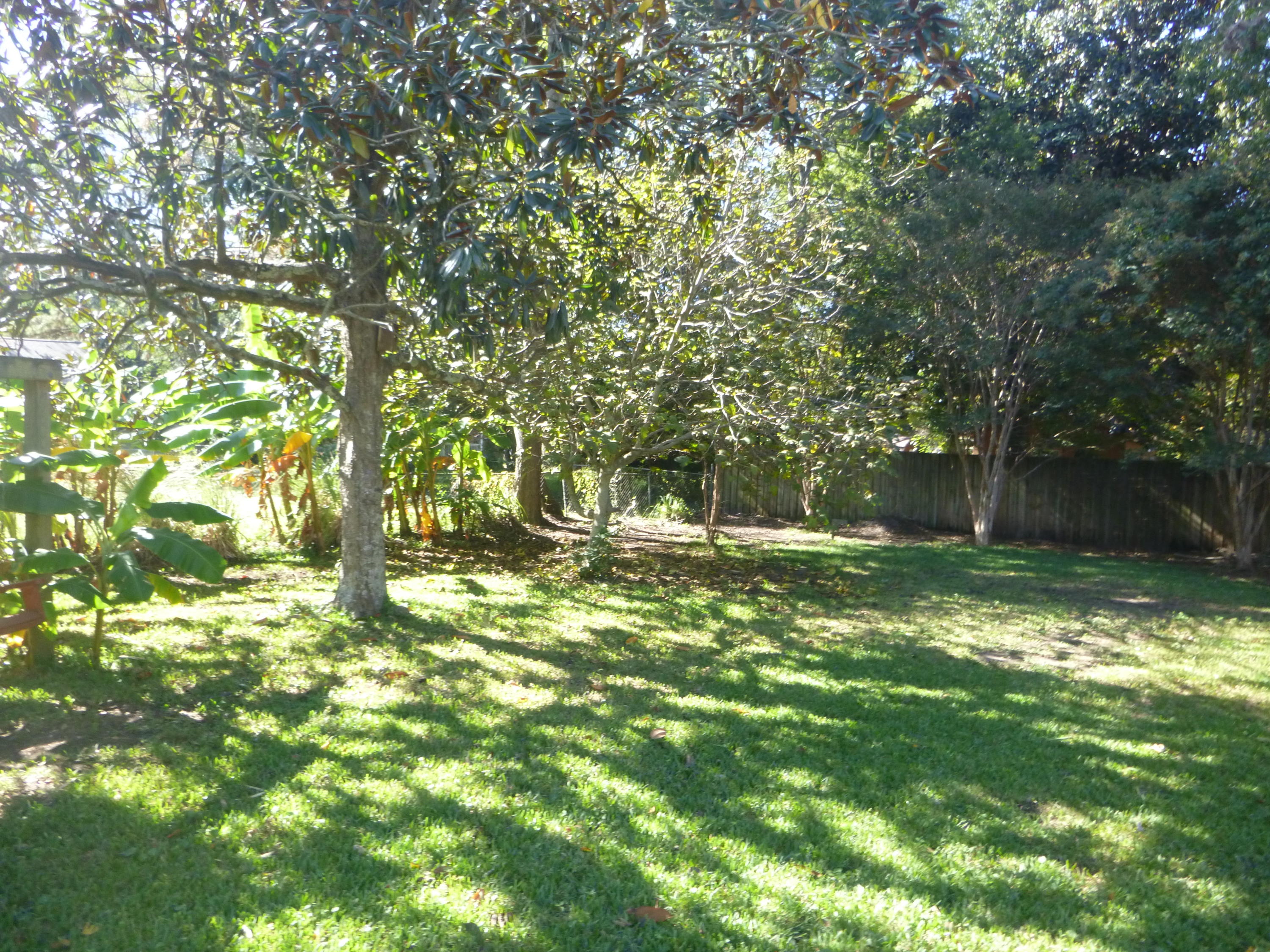 1297 Fort Lamar Road Charleston, SC 29412 - Photo 18 of 22 ftlamarbackyd