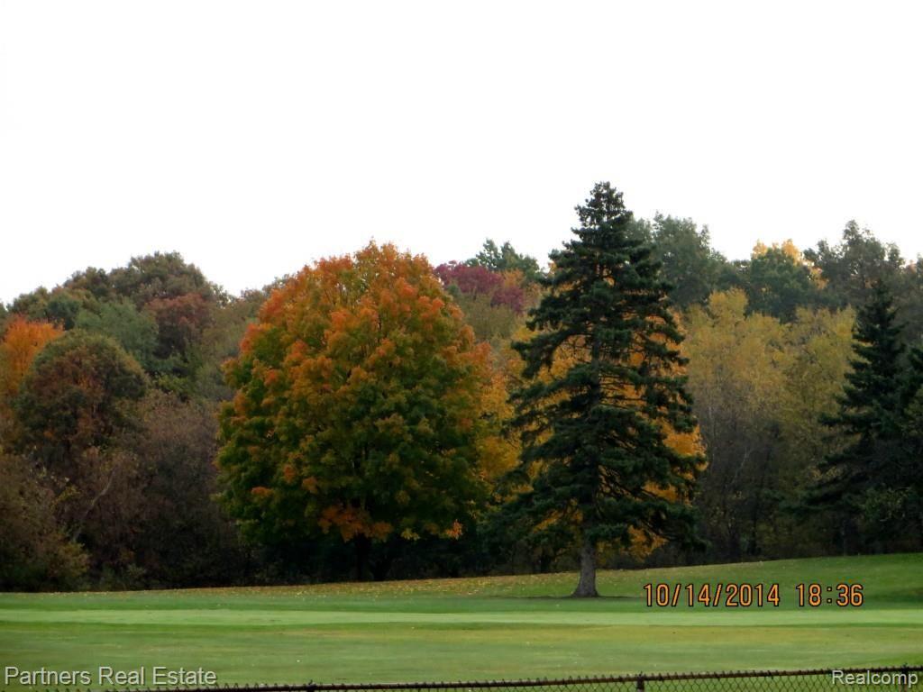530 Timber Ridge Trail Howell, MI 48843 - Photo 10 of 60 25.jpg