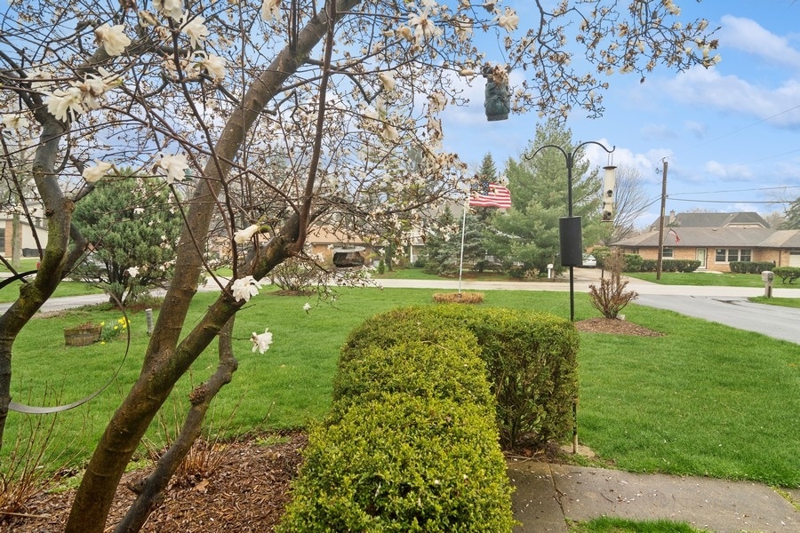 16W360 94th Place Burr Ridge, IL 60527 - Photo 3 of 24 Gallery Image 3