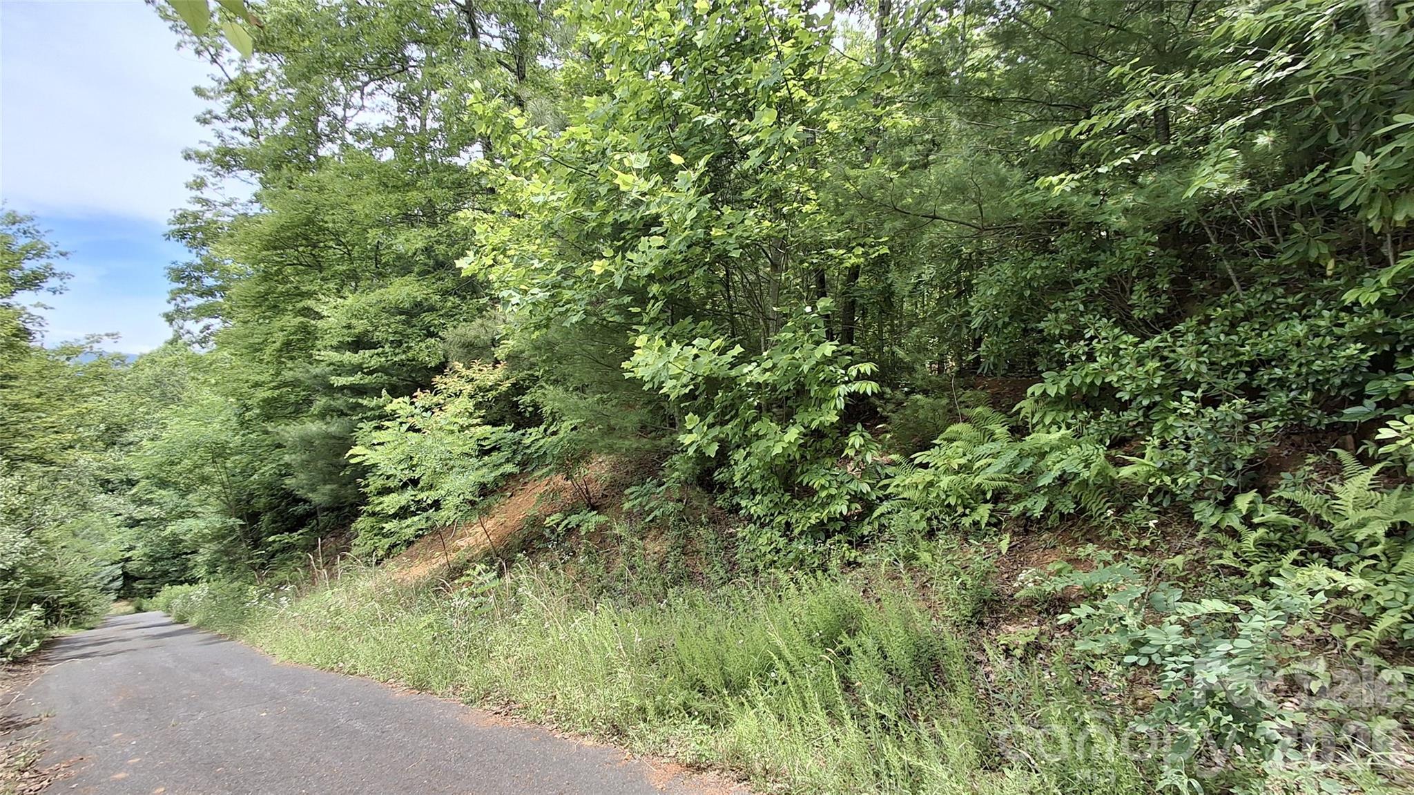 77 Kako Ridge, Unit 57 Sylva, NC 28779 - Photo 11 of 19