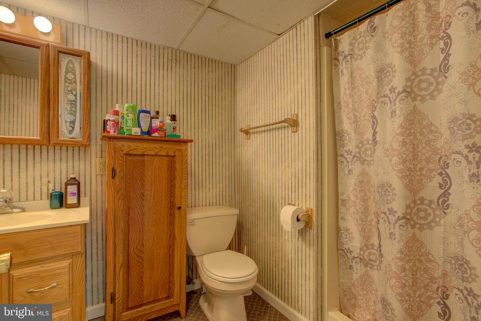 234 Esbenshade Road Ronks, PA 17572 - Photo 22 of 73 Gallery Image 22