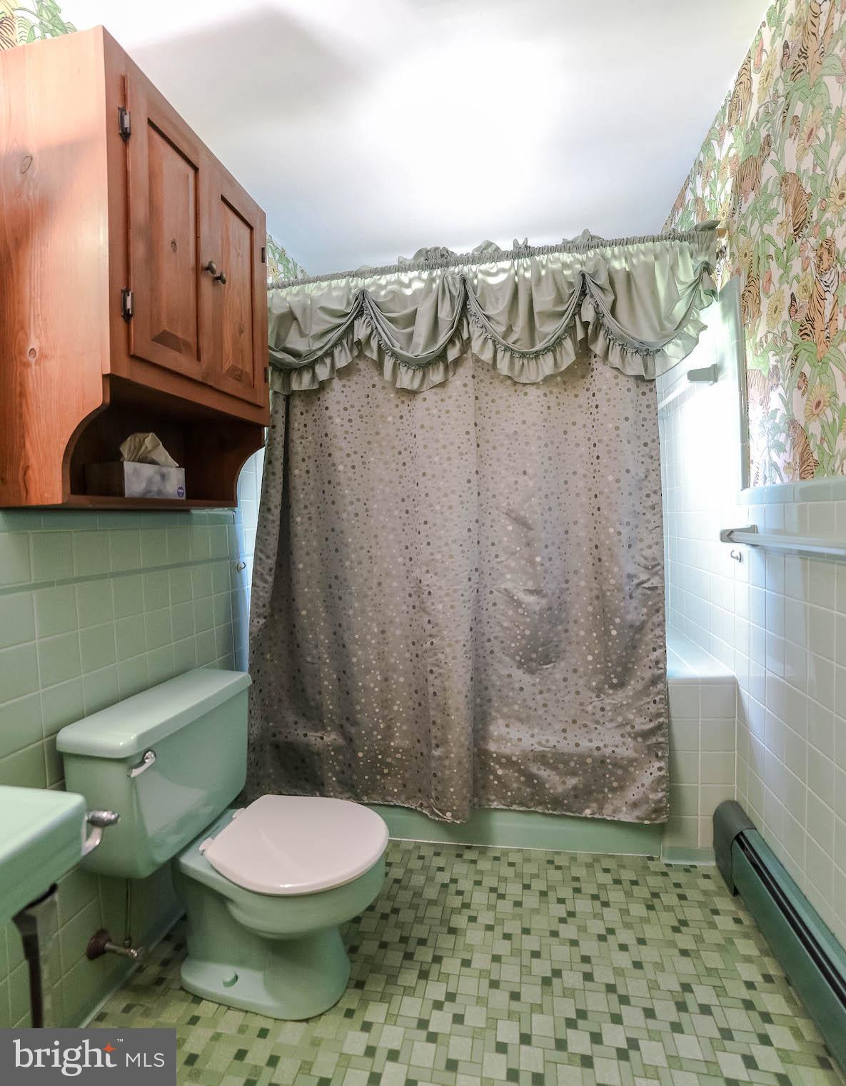 41318 Medleys Neck Road Leonardtown, MD 20650 - Photo 21 of 41 Bathroom #1