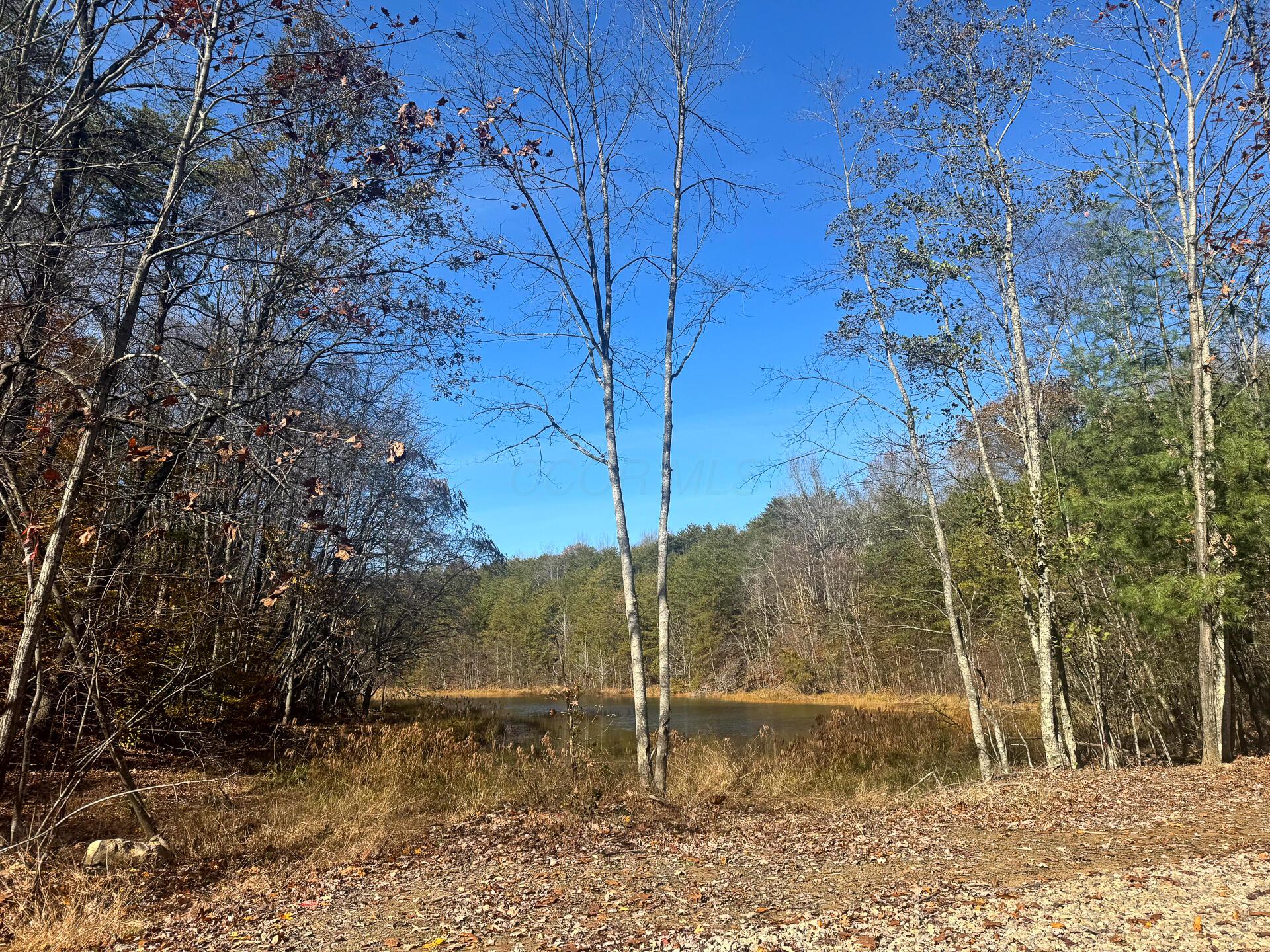 830 Nibert Road, Unit PONDS POPLAR RIDGE TRACT 3) Gallipolis, OH 45631 - Photo 17 of 23 CT-17