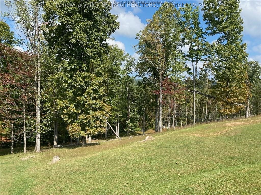 1994 Maysel Laurel Ridge Road Maysel, WV 25133 - Photo 11 of 39 Gallery Image 11