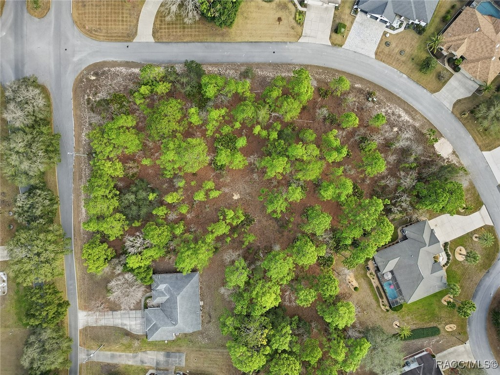 2 Nephthytis Court Homosassa, FL 34446 - Photo 7 of 21