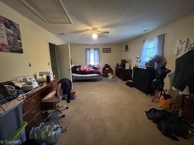 814 Pine Cir Drive High Point, NC 27265 - Photo 20 of 30 2nd bedroom