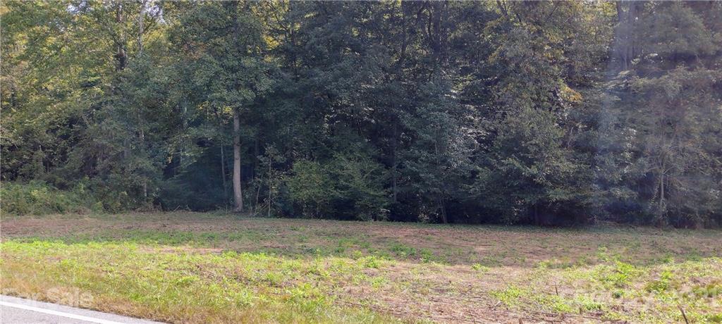 0 Zacks Fork Road, Unit 4 Lenoir, NC 28645 - Photo 3 of 9 Gallery Image 3