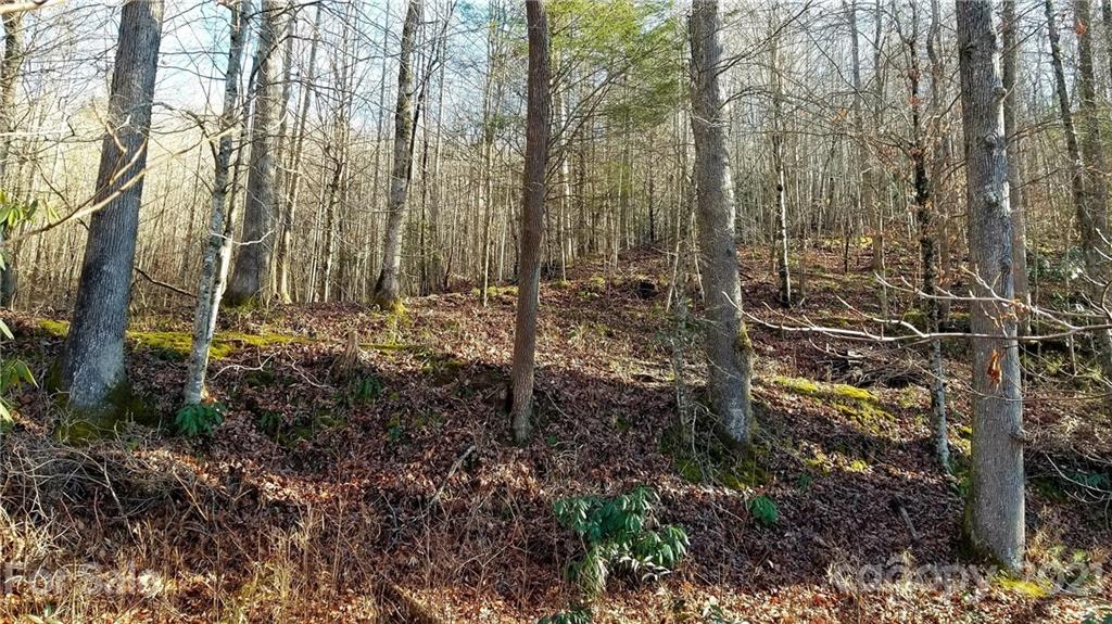0 Zacks Fork Road, Unit 4 Lenoir, NC 28645 - Photo 7 of 9 Gallery Image 7