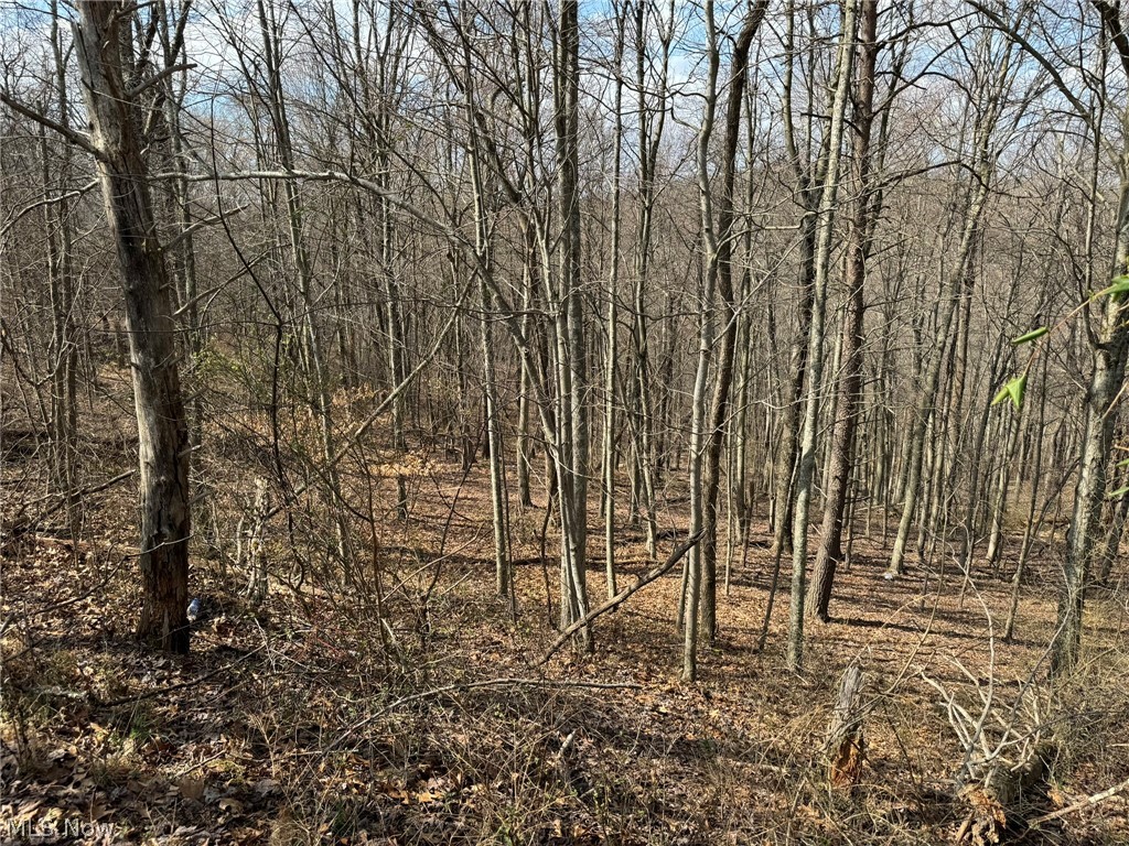 1 Sarvis Fork Road Sandyville, WV 25275 - Photo 37 of 44 Gallery Image 37