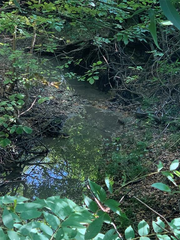 0 Weston Road Celina, TX 75009 - Photo 4 of 20 a backyard of a house with lots of green space