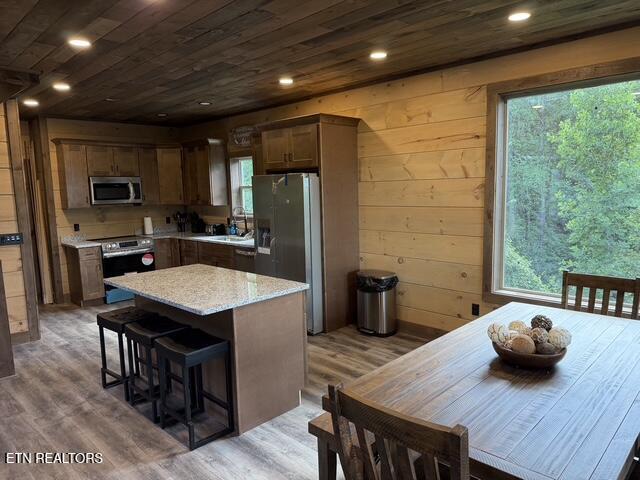 462 Loop Road Gatlinburg, TN 37738 - Photo 4 of 17 IMG_1968