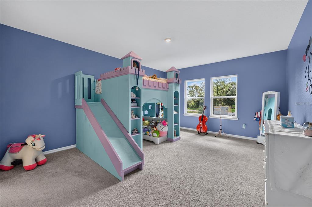 33751 Landsman Loop Wesley Chapel, FL 33543 - Photo 62 of 97