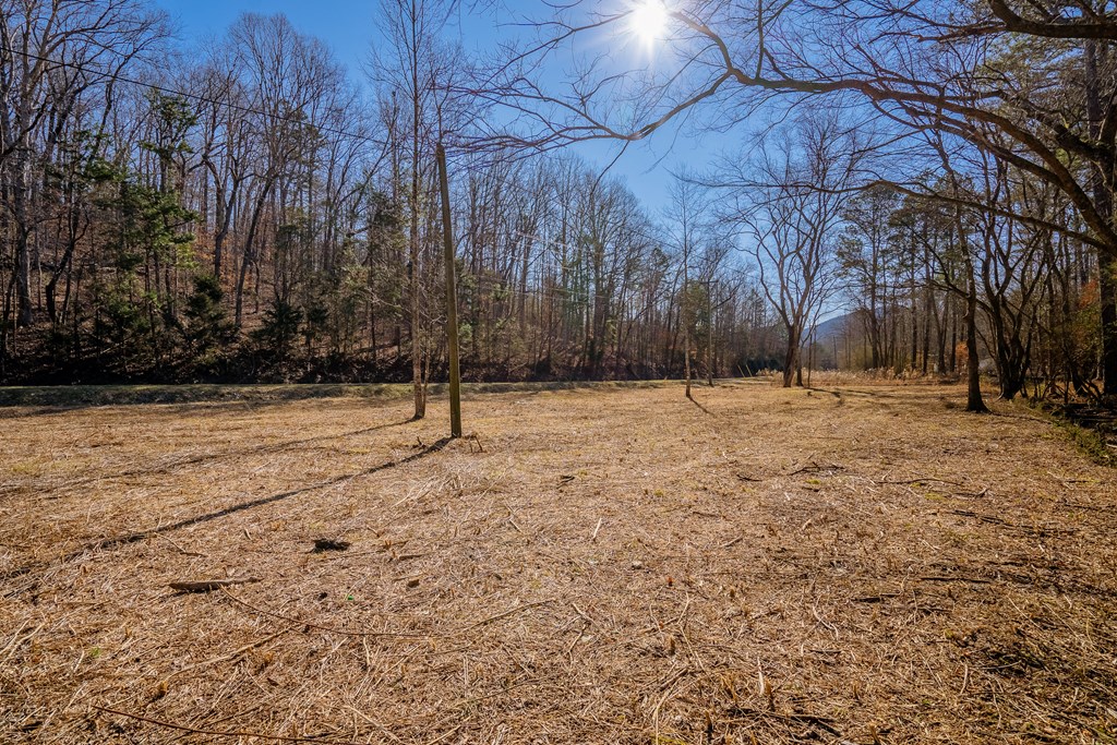 Lot 42 Quarles Road Rocky Face, GA 30740 - Photo 10 of 27 Gallery Image 10
