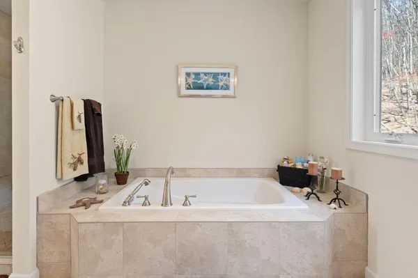 a view of a park with large trees