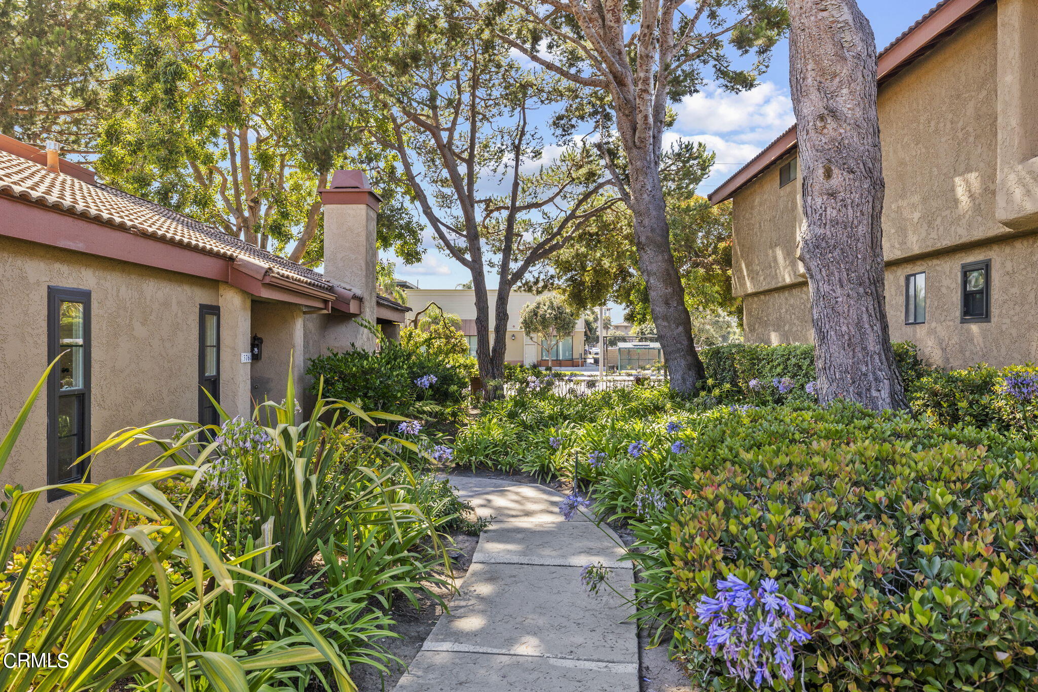 3764 Via Pacifica Walk Oxnard, CA 93035 - Photo 2 of 44 a front view of a house with a yard and fountain