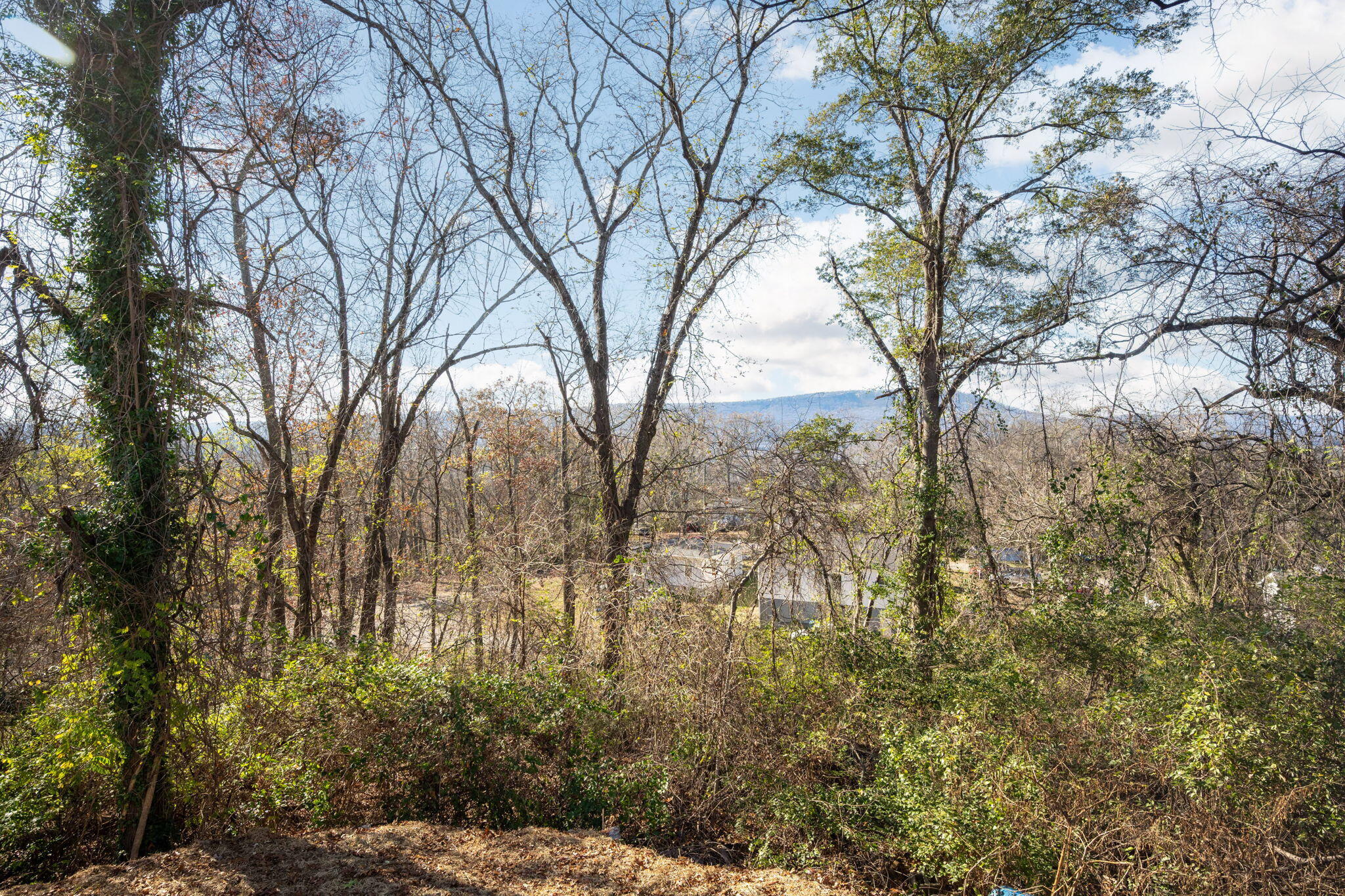 3903 17th Avenue Chattanooga, TN 37407 - Photo 30 of 30 30-web-or-mls-DSC_5582