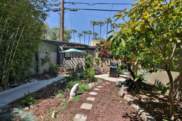 a view of a backyard with plants