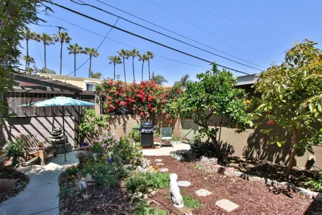 a view of a backyard with plants and a potted plant