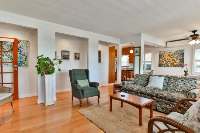 a living room with furniture and a potted plant