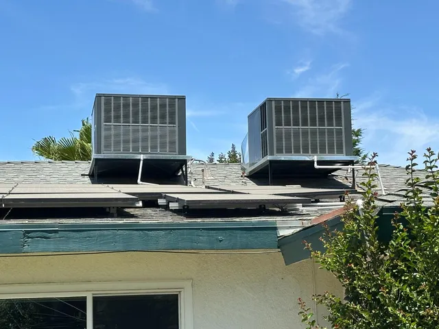 a view of a yard with plants and large trees