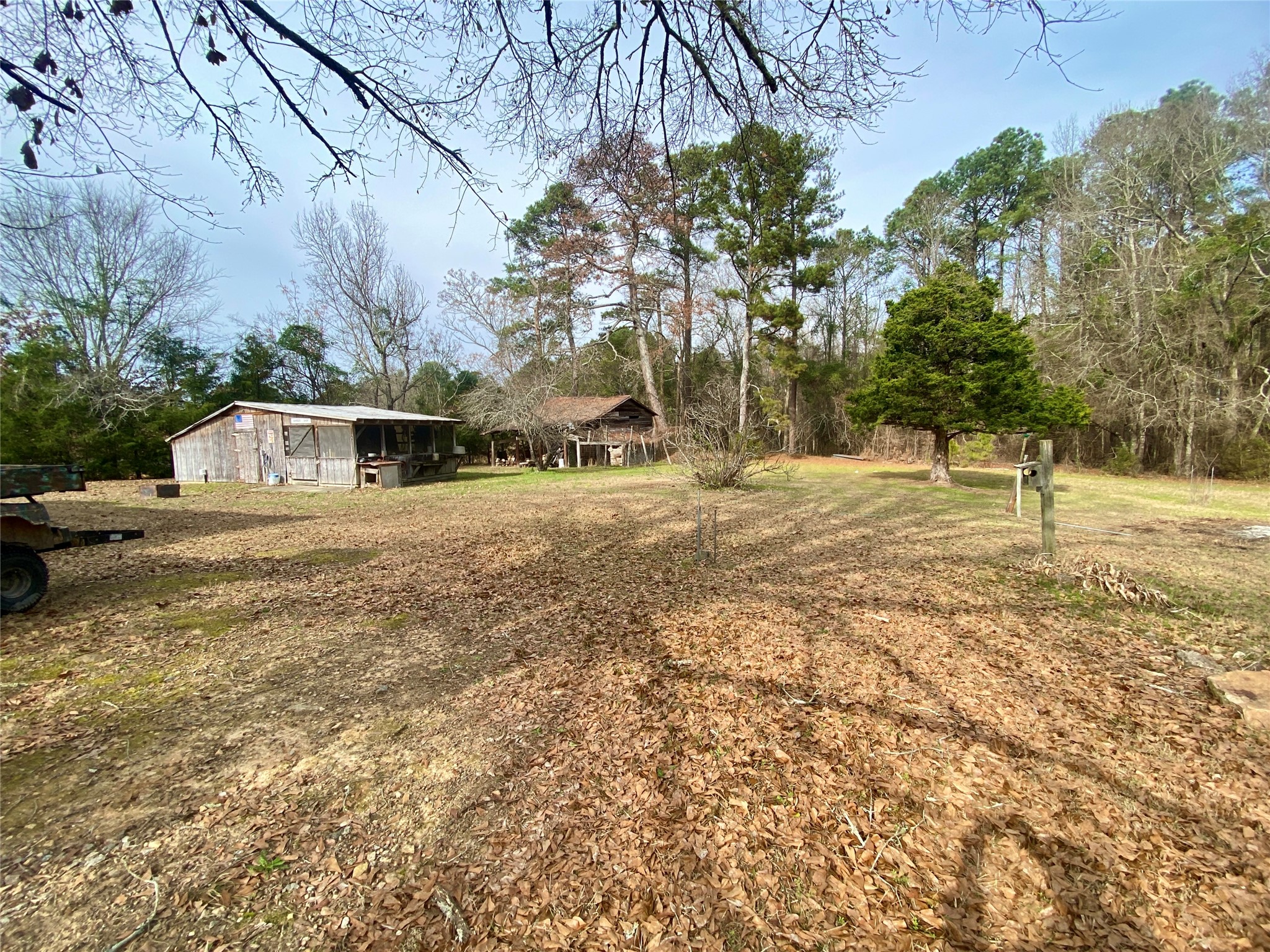 1135 Beaver Dam Road Washington, GA 30673 - Photo 30 of 42 a view of large yard with large trees