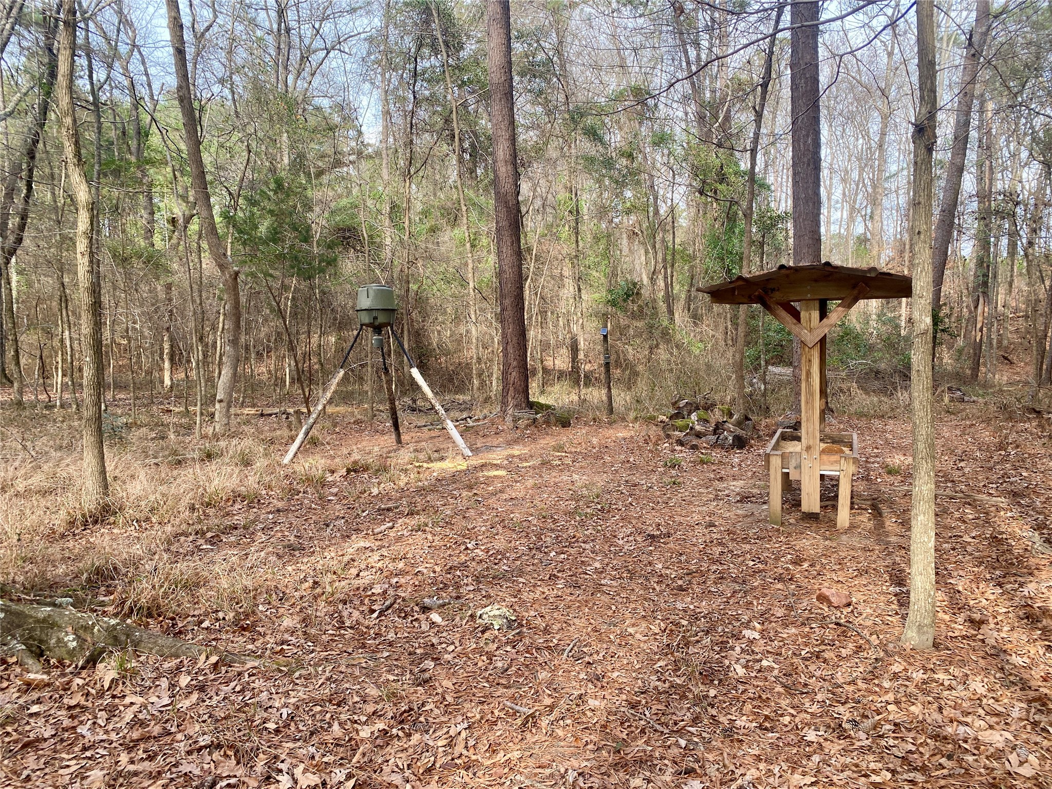 1135 Beaver Dam Road Washington, GA 30673 - Photo 32 of 42 a view of a park with large trees