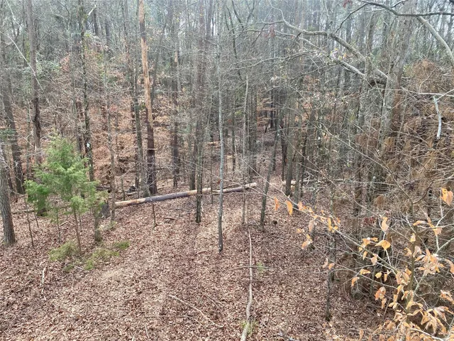 a view of outdoor space and a yard