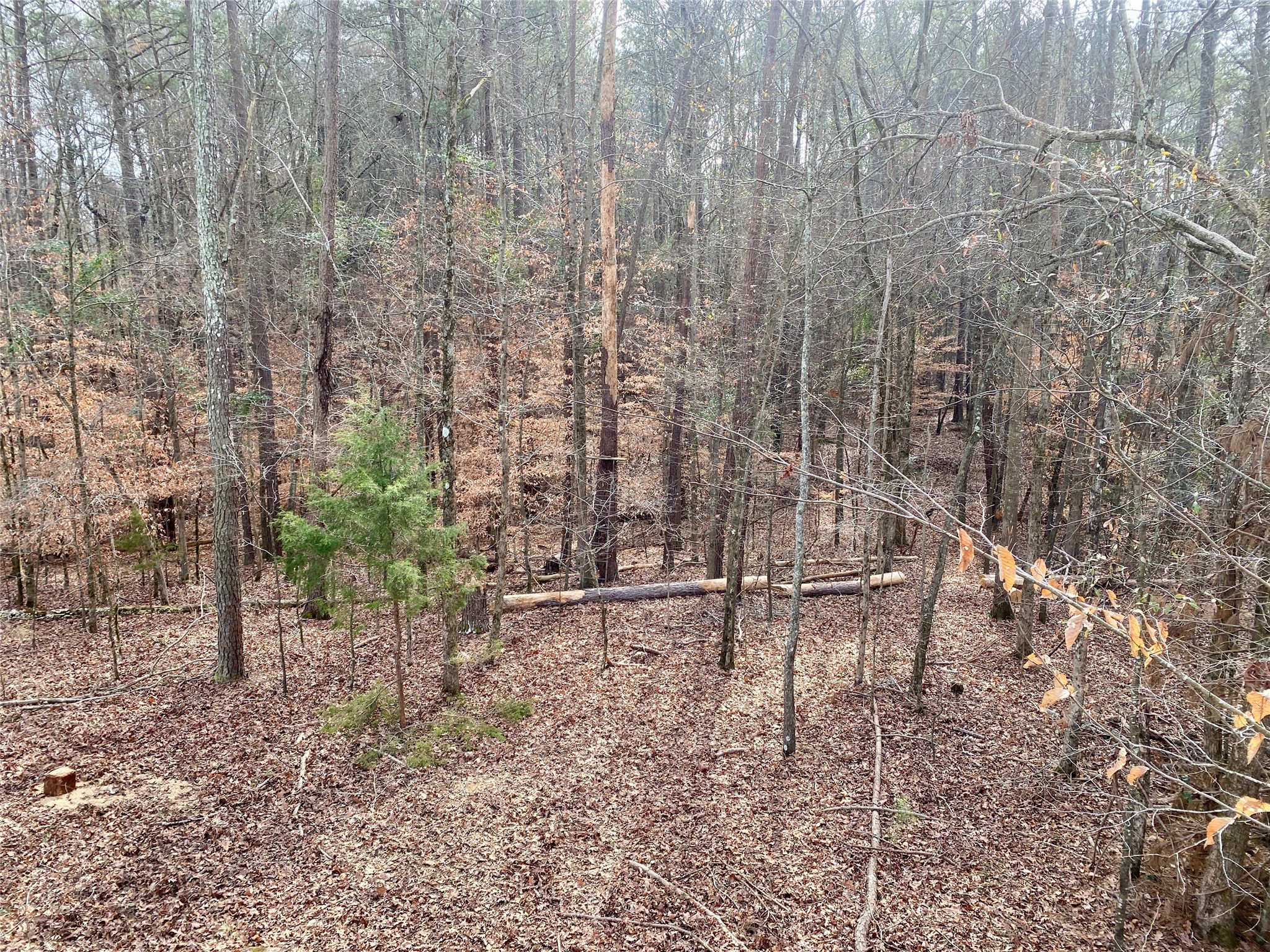 1135 Beaver Dam Road Washington, GA 30673 - Photo 39 of 42