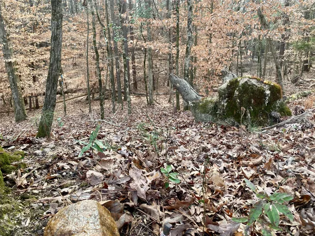 $178,000 | 1135 Beaver Dam Road, Washington, GA 30673