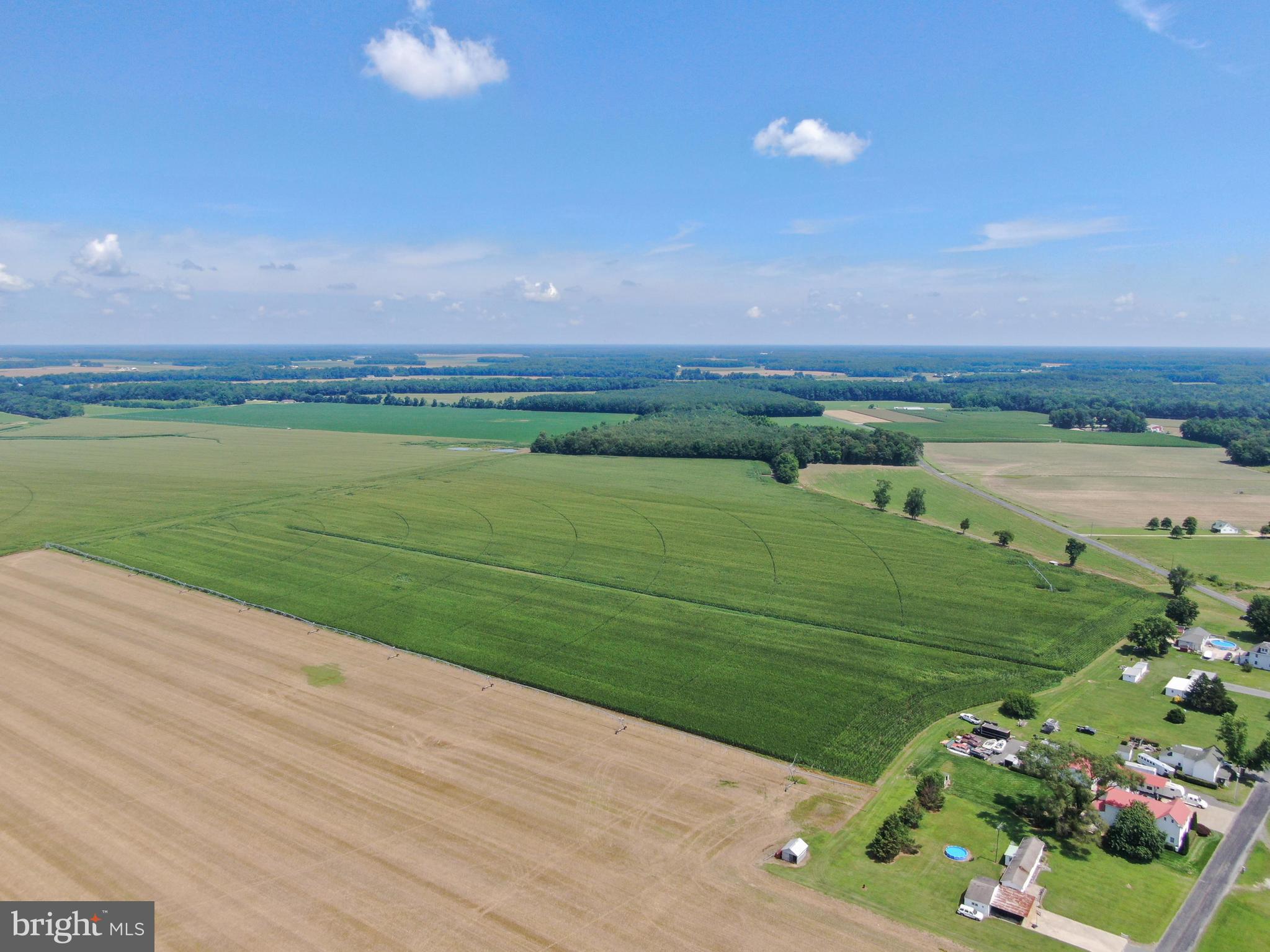 American Corner Road Federalsburg, MD 21632 - Photo 7 of 14 Gallery Image 7